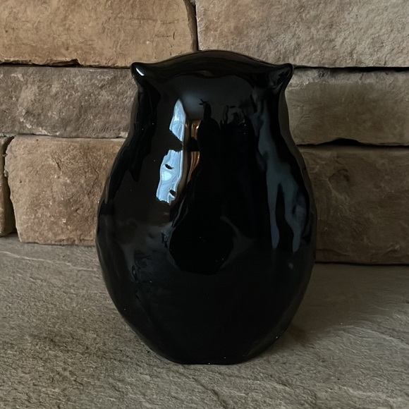 Rae Dunn Ceramic Night Watch Owl Flight Night - Picture 3 of 3